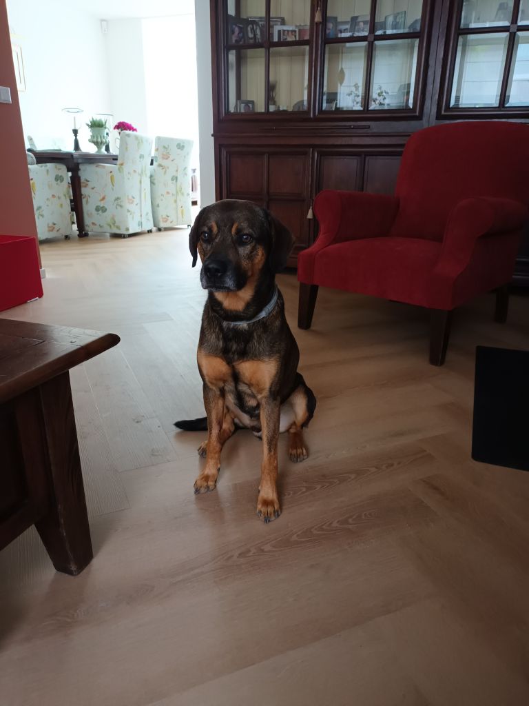 Marijke