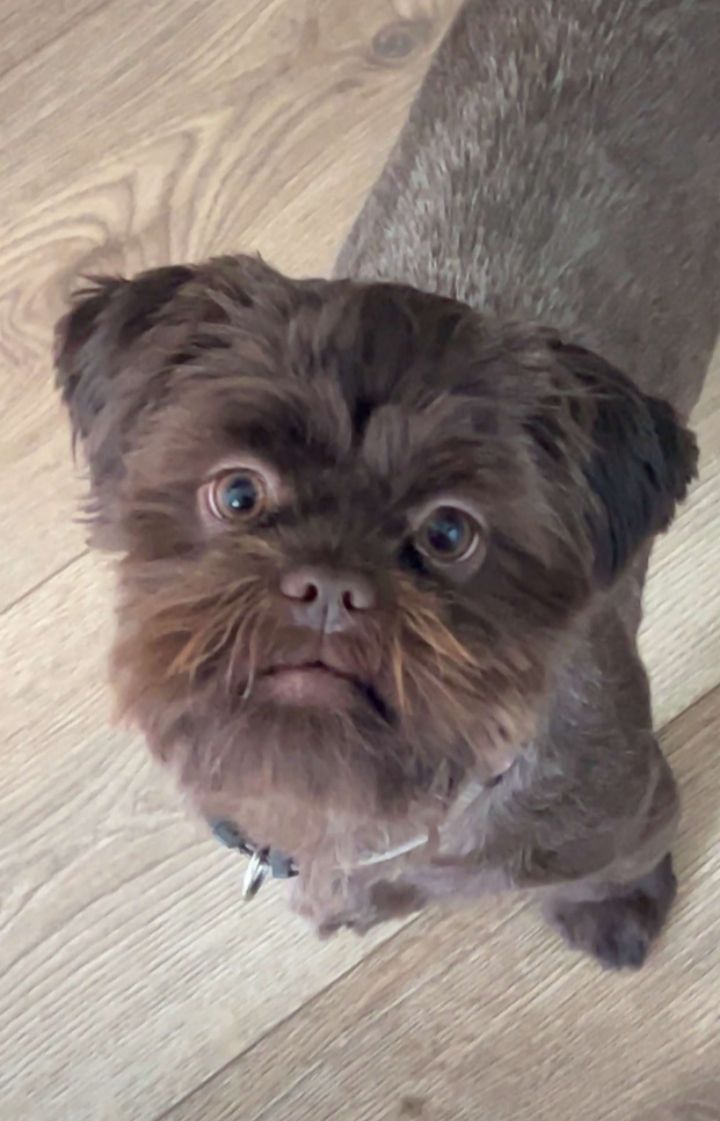 Pip