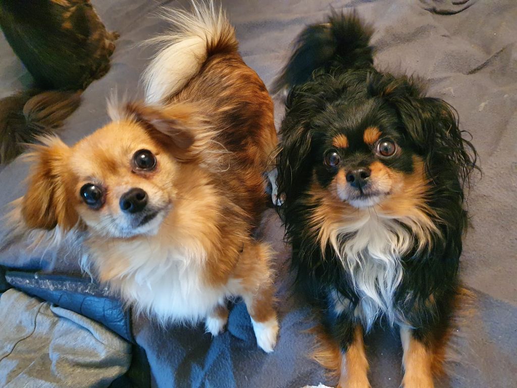 Bo en Zoë