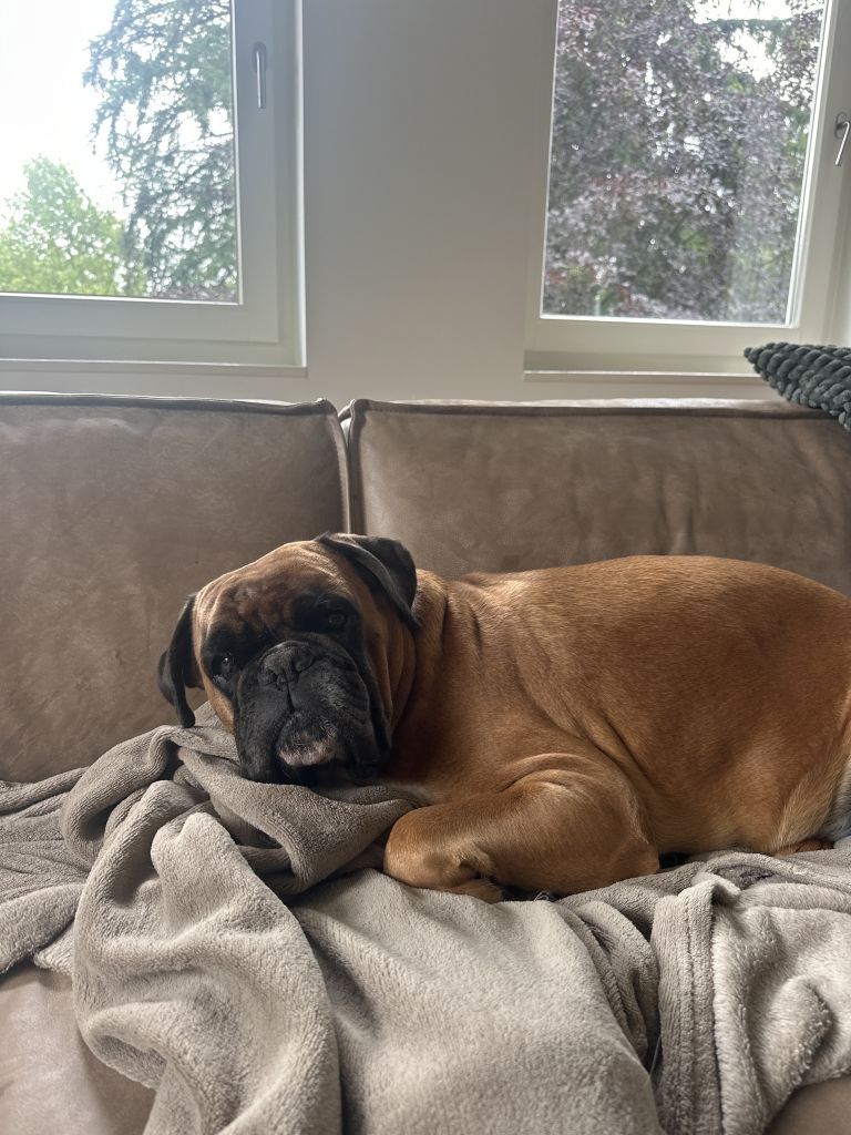 Lola