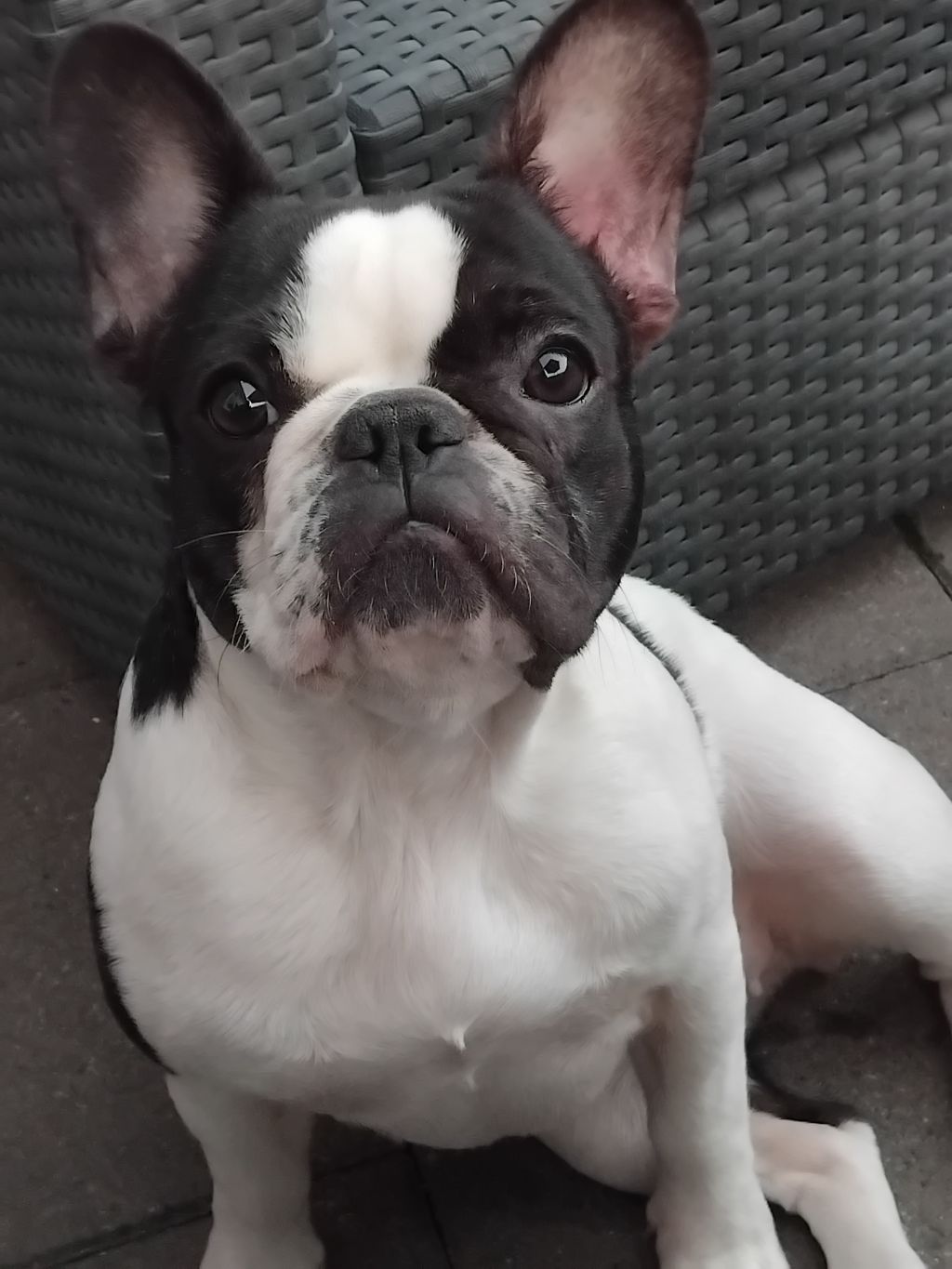 Juultje