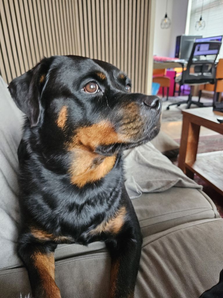 Pebbles