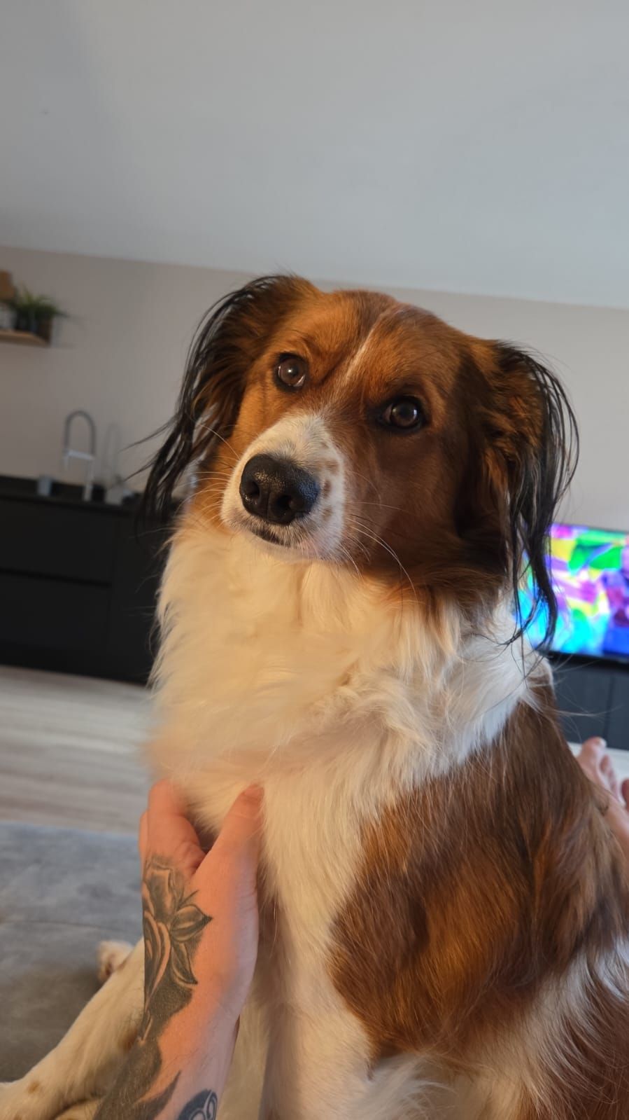 Yuki