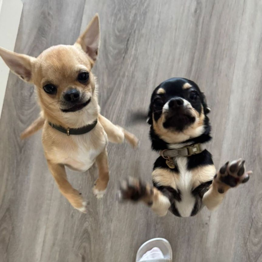 Buddy en Beer