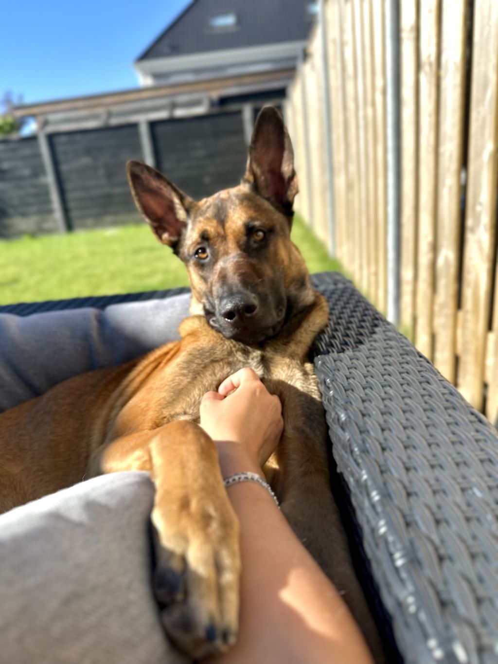 Luna