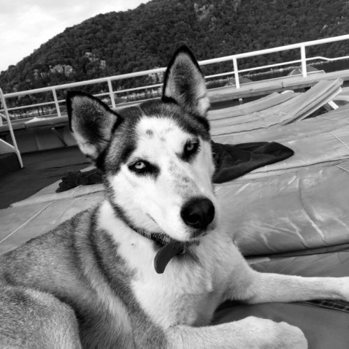 Yindi