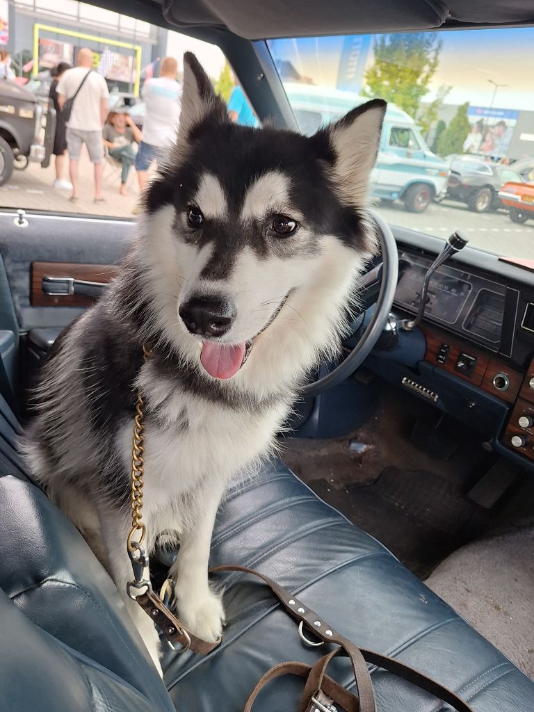 Axel