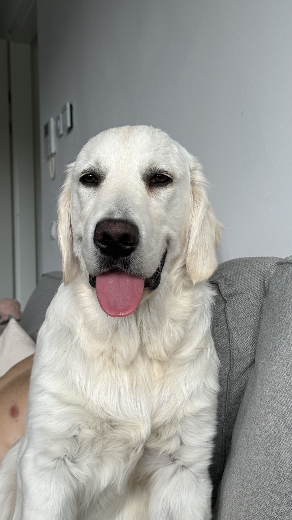 Ollie
