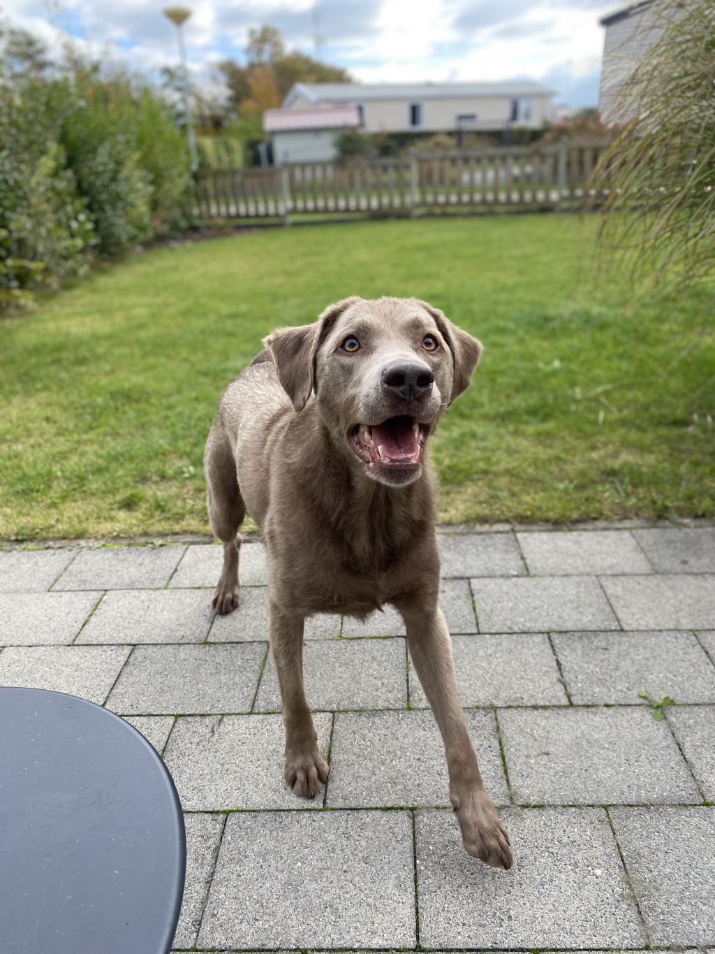 Jax