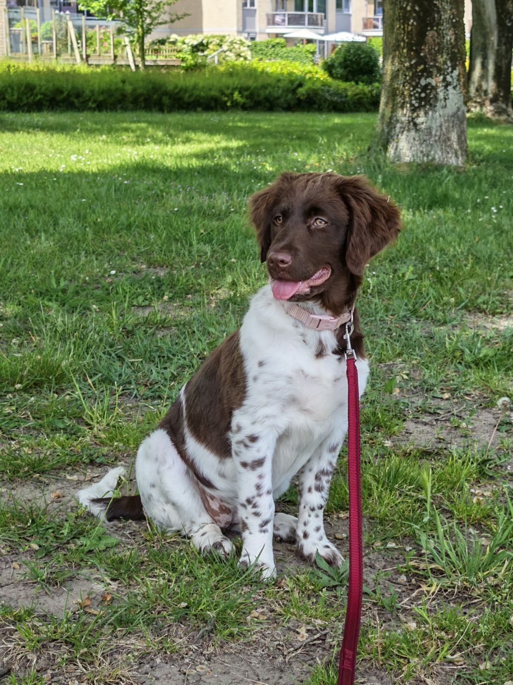 Kita
