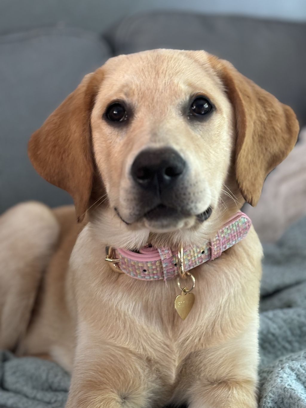 Penny