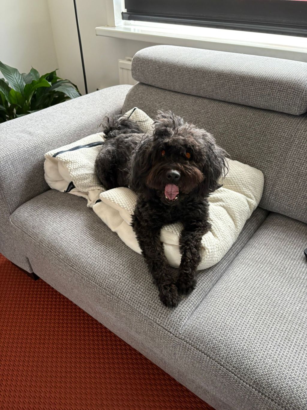 Marja