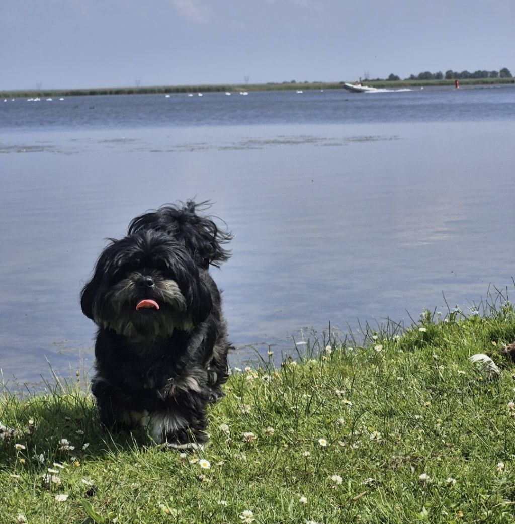 Charlie