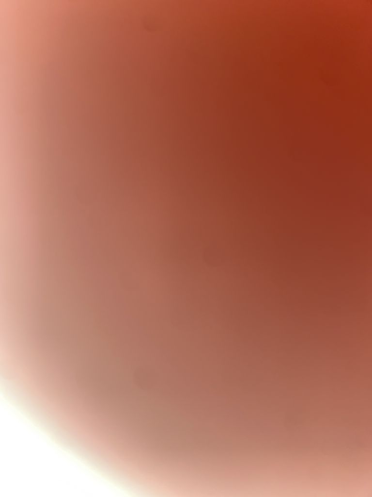 Sb