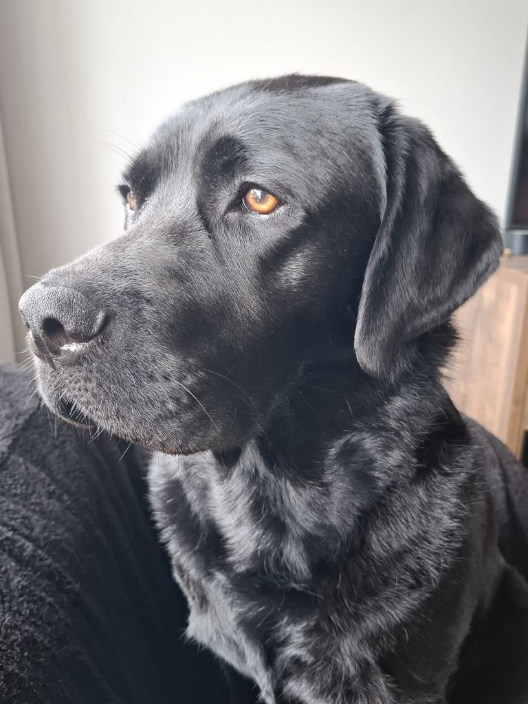 Marley