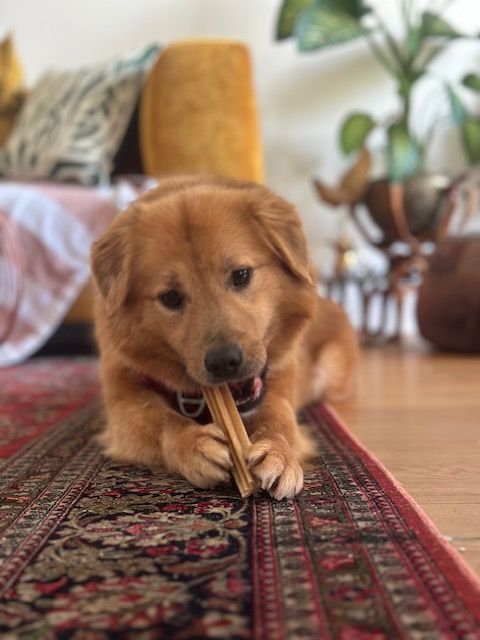 Charlie