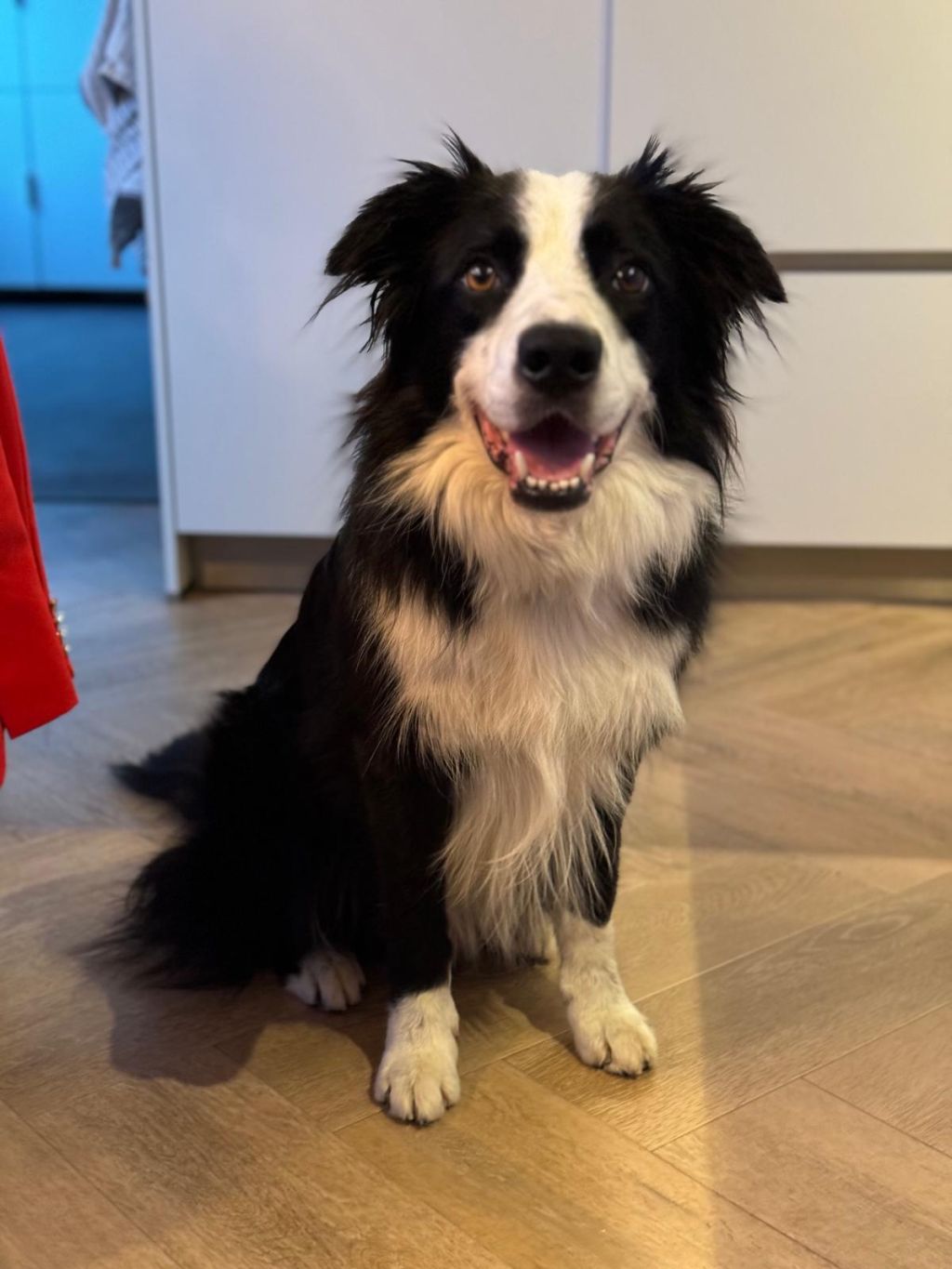 Dex