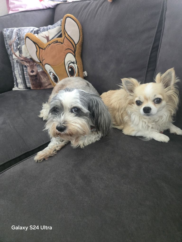 Layka en Daisy