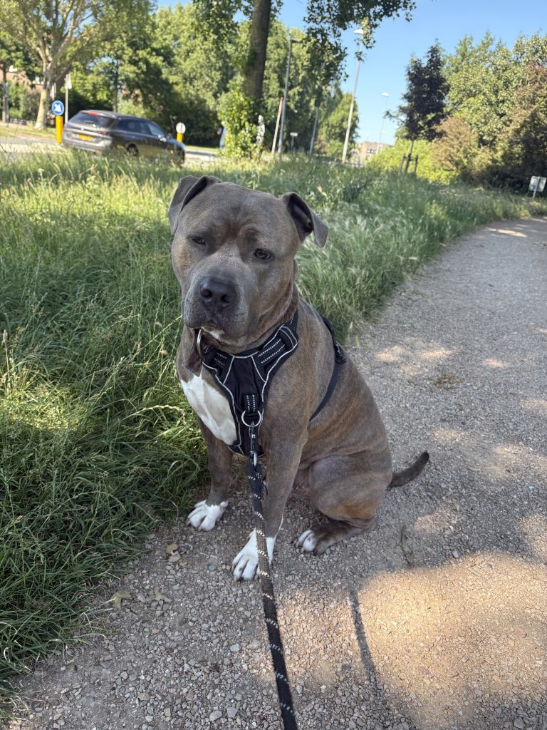 Max