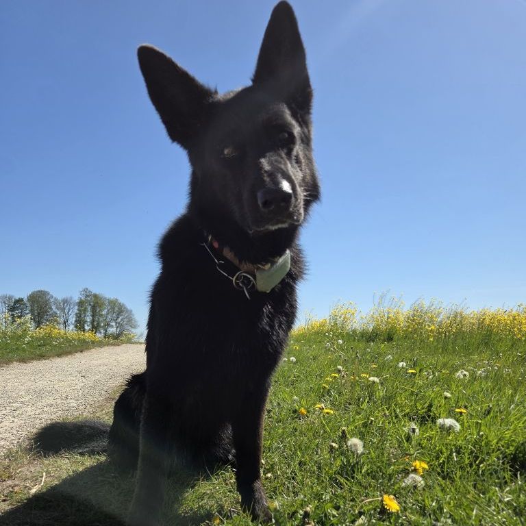 Kiki