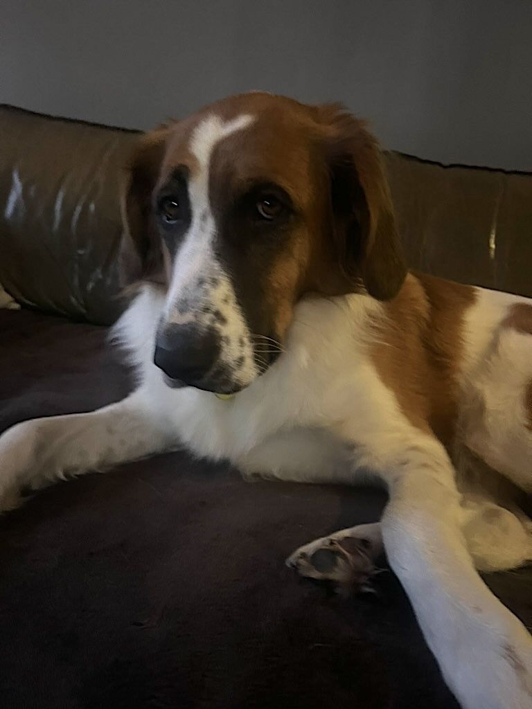 Max & Nola