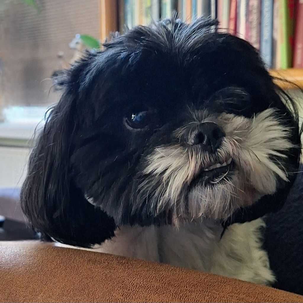Charlie