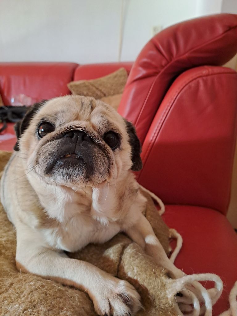 Nina