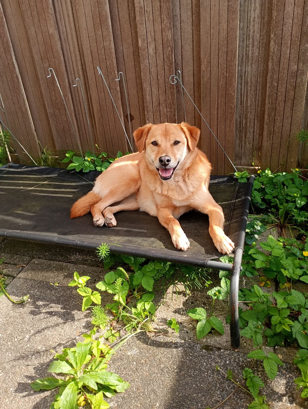 Maddy