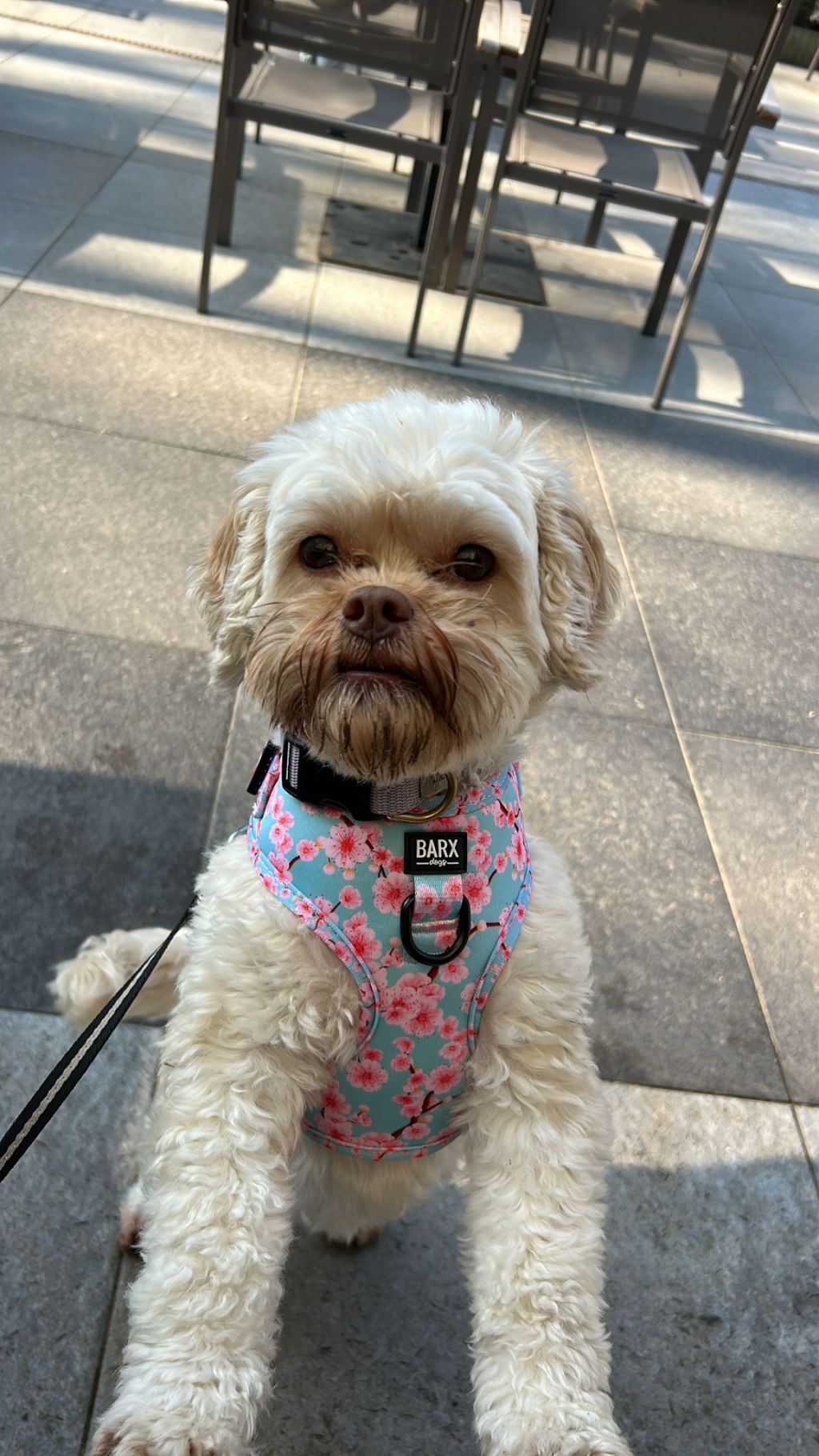 Milly