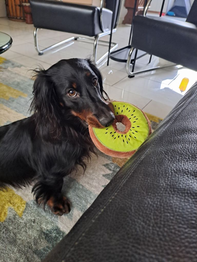 Alfie