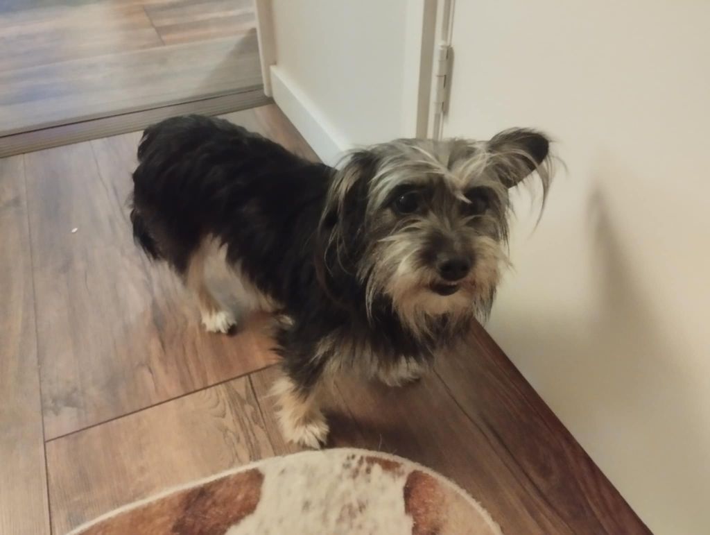 Bella