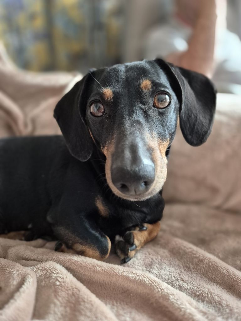 Oona