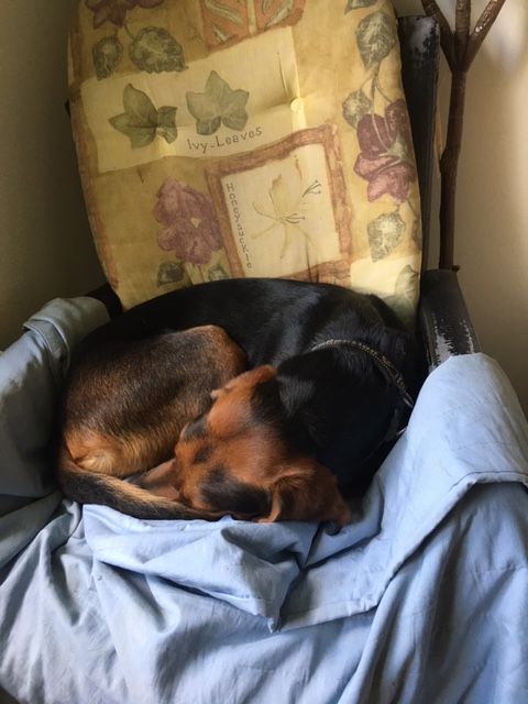 georgie