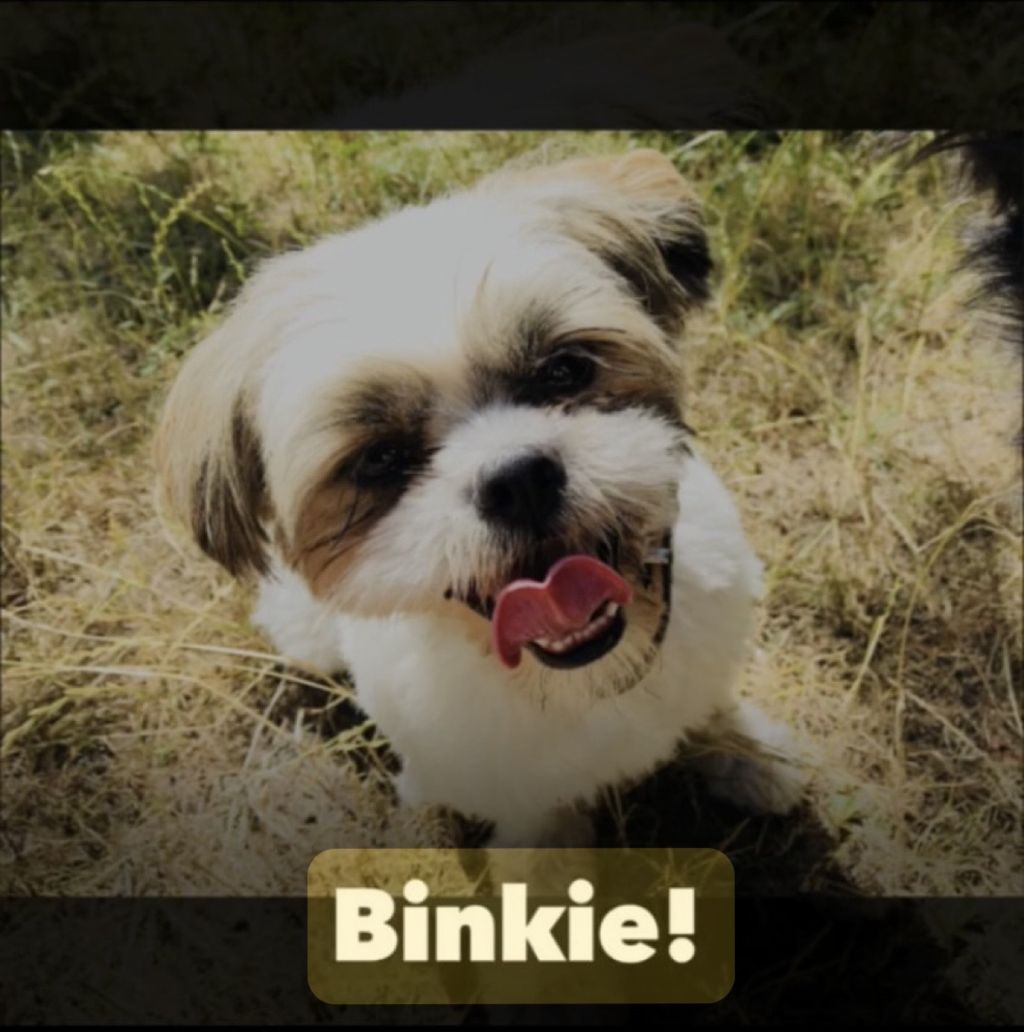 Binkie