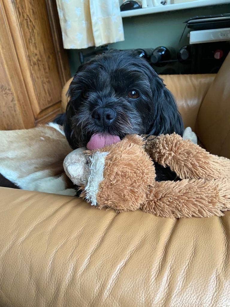 Bella