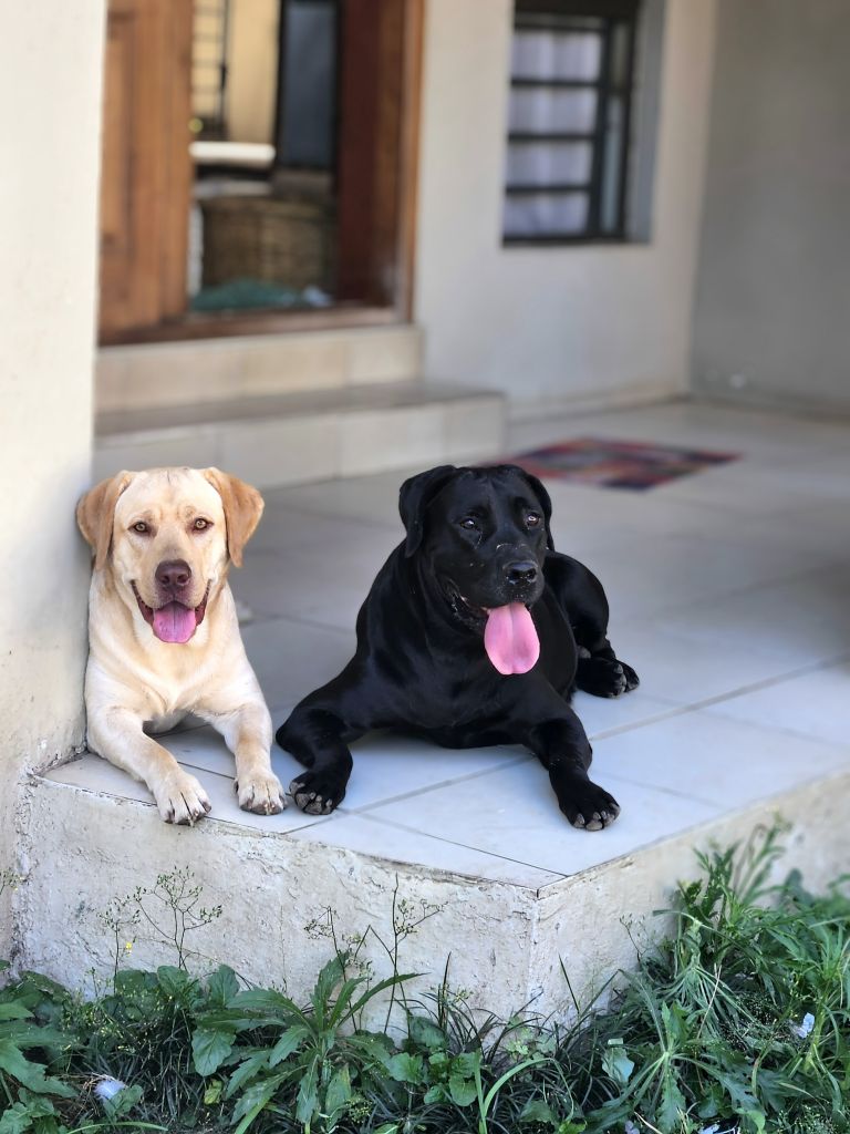 Bailey, Bonnie, Valentina