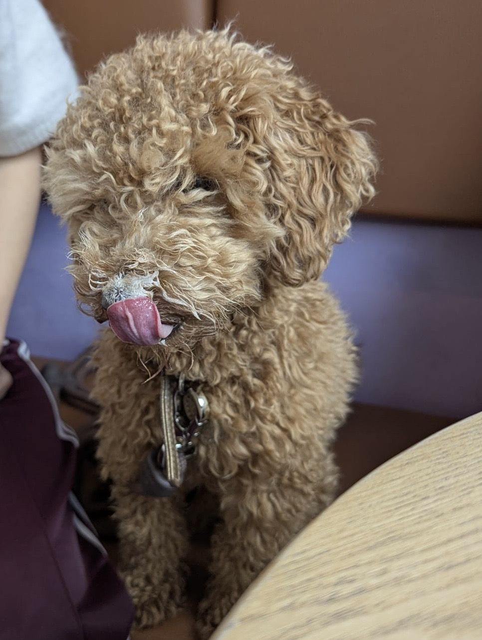 Mateo