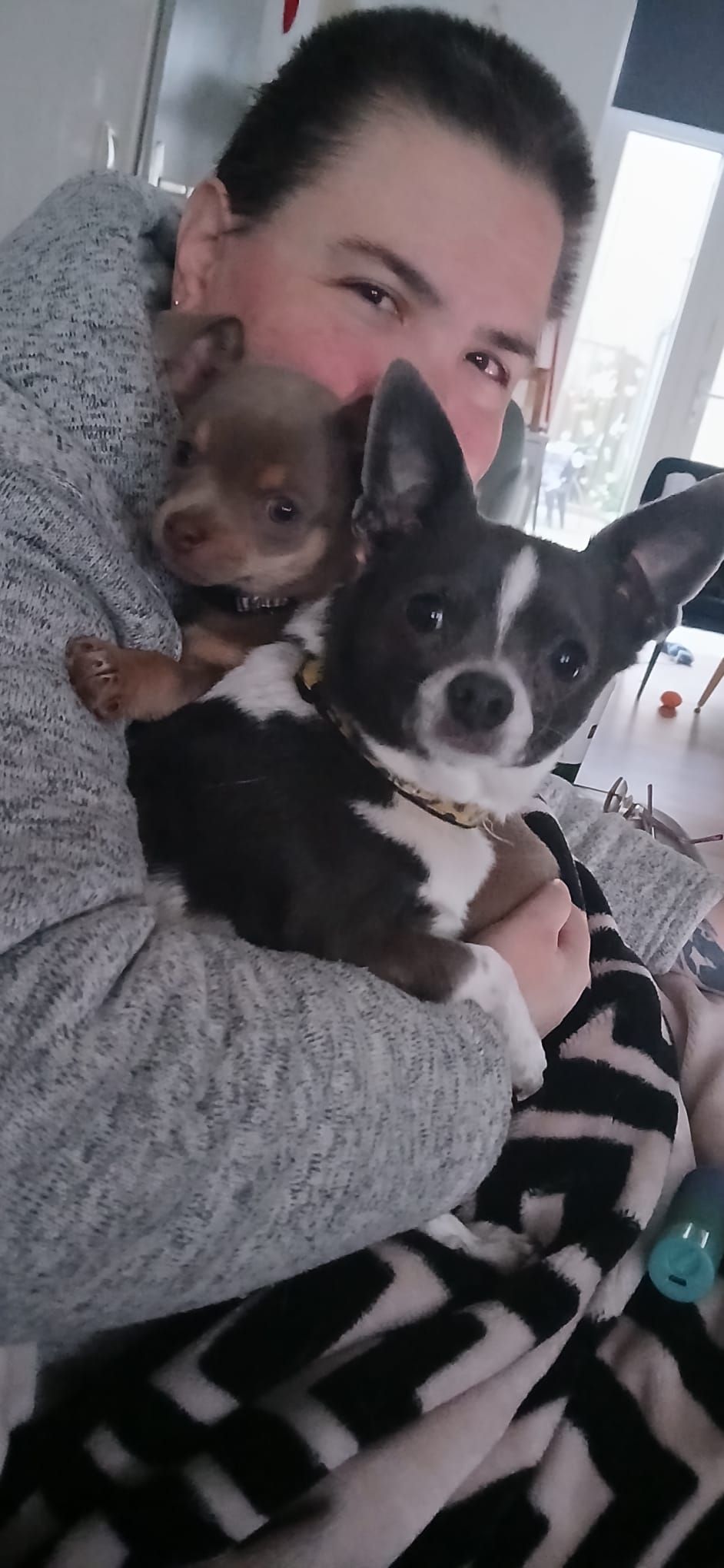 Buddy en Max