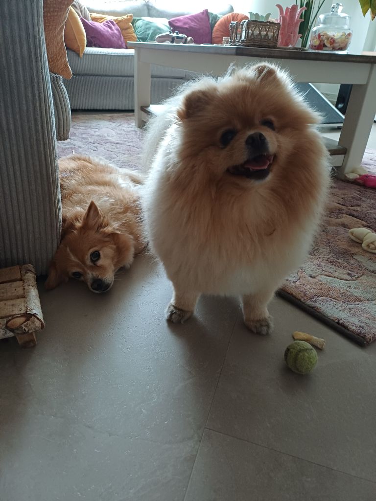 Baileys & Ivy