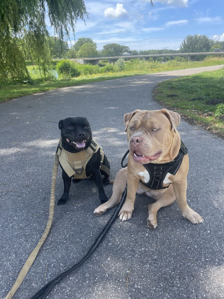 Sophie en Zena