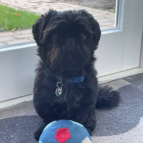 Jax