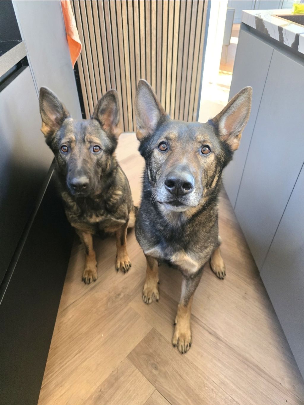 Odin en Brida
