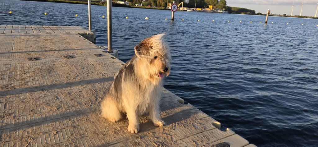Marley
