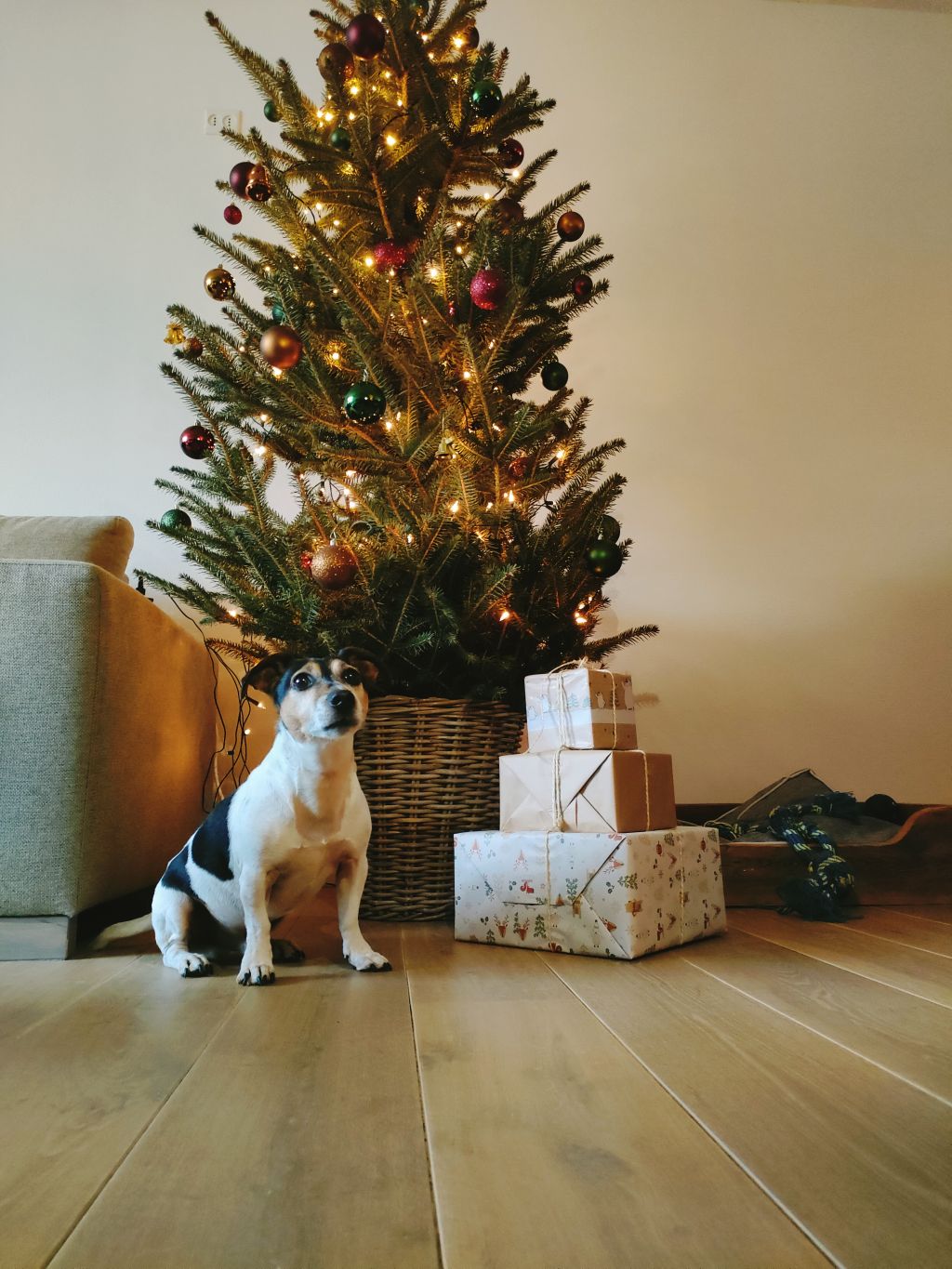 Milo