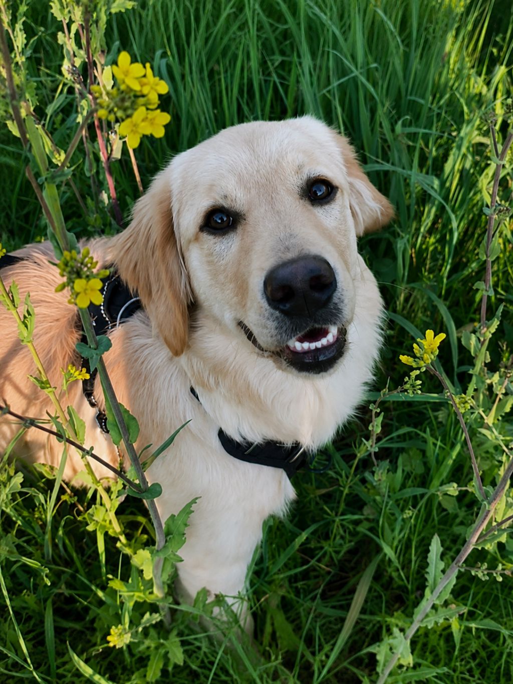 Max