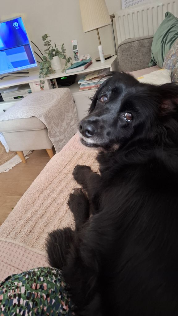 Samwise