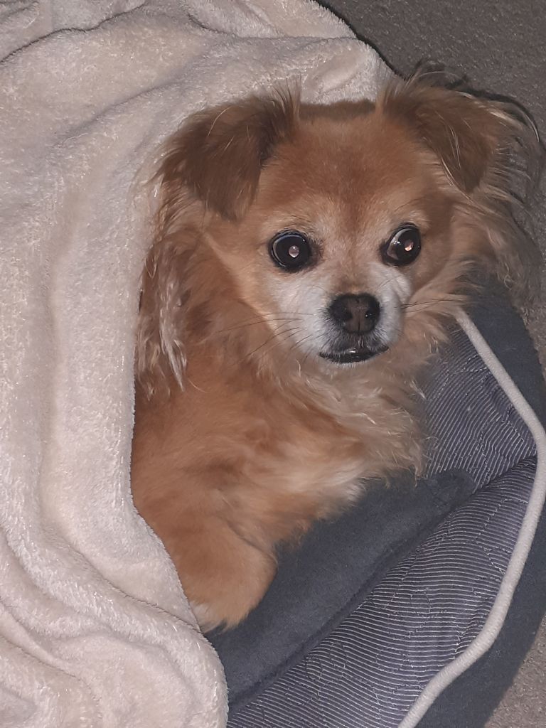 Sam