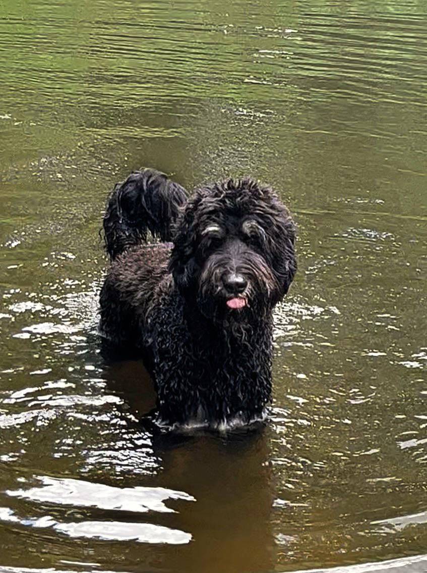 Balou