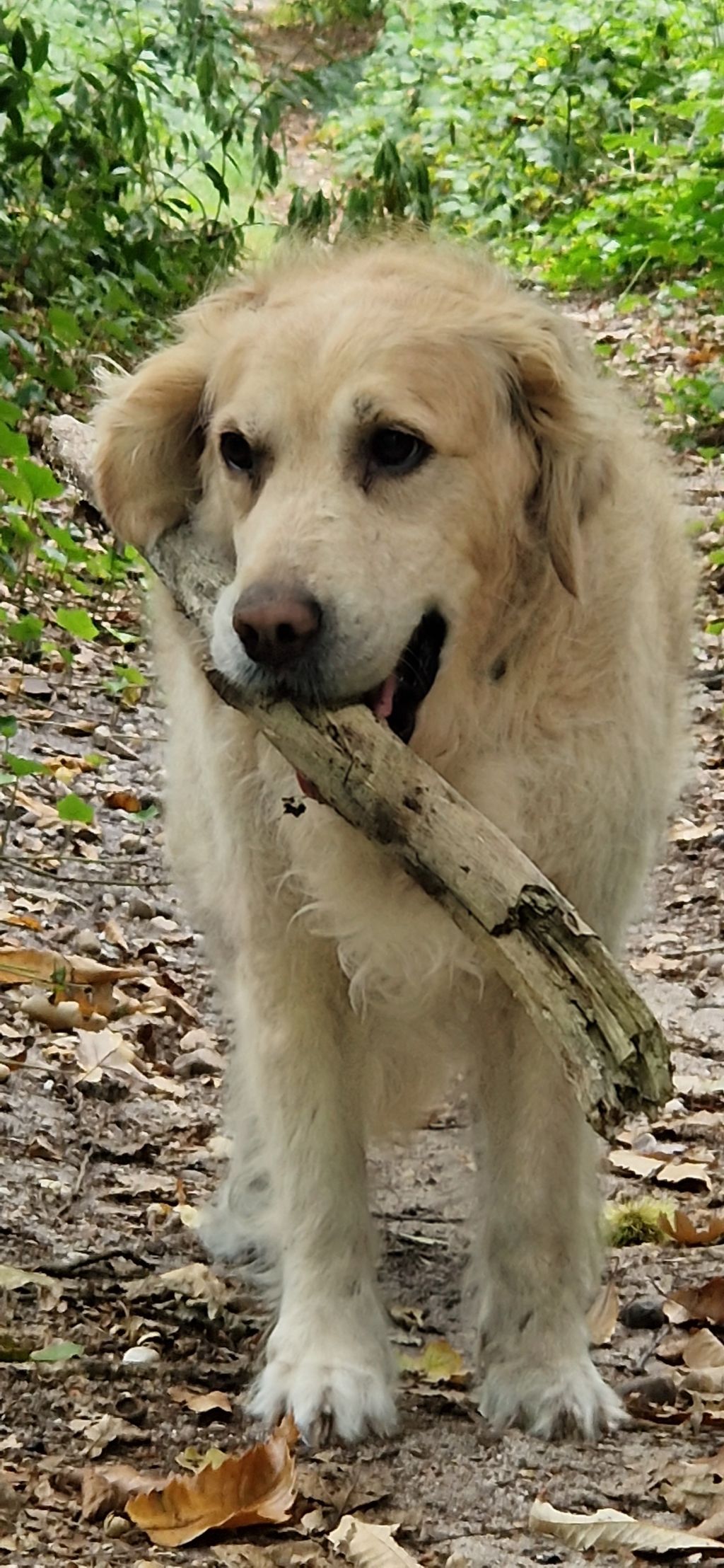 Luna