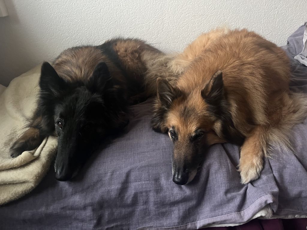 Toffee Jarno en Cozanne